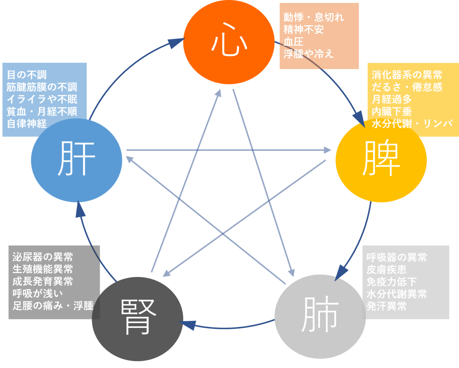 東洋医学：陰陽五行説 | デューロス